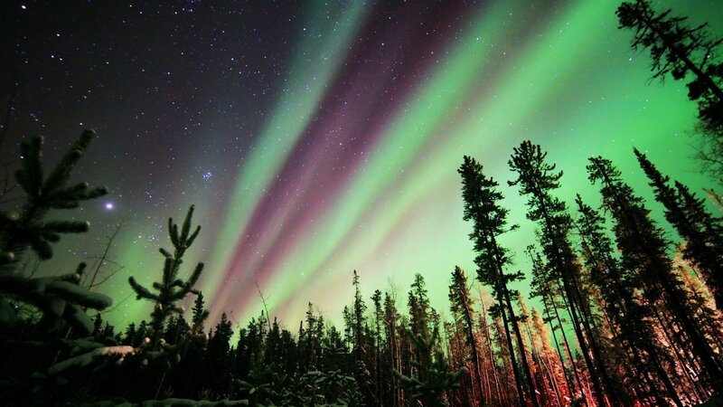 Aurora Borealis over Forest — Green, Dramatic, Night, Photograph, Stars, Trees