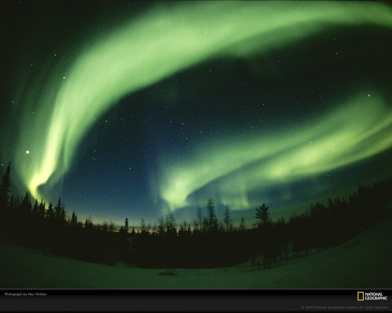 Aurora Borealis over Forest — Green, Dramatic