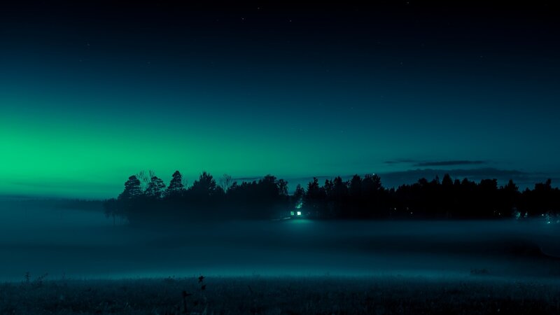 Aurora Borealis over Forest — Green, Serene, Night, Photograph, Fog