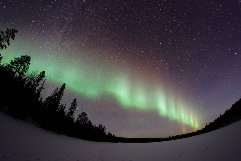 Aurora Borealis over Forest — Green, Serene, Night, Photograph, Stars, Snow