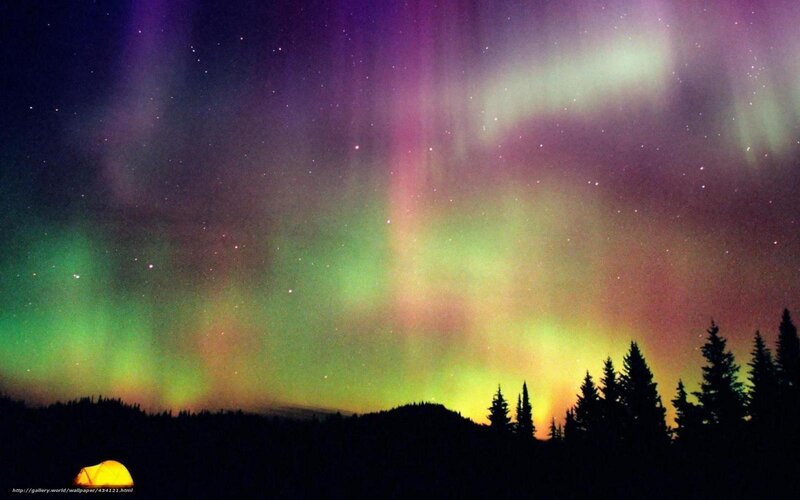 Aurora Borealis over Forest — Green, Serene, Night, Photograph, Tents