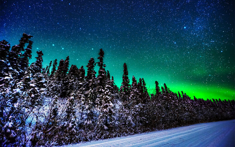 Aurora Borealis over Forest — Green, Serene, Night, Photograph