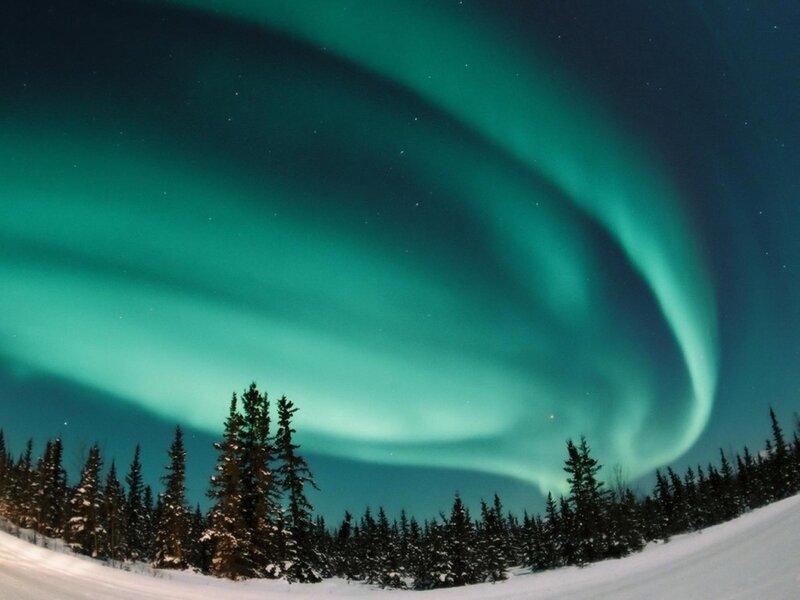 Aurora Borealis over Forest — Green, Serene, Night, Photograph, Trees, Snow, Sky, Black, White