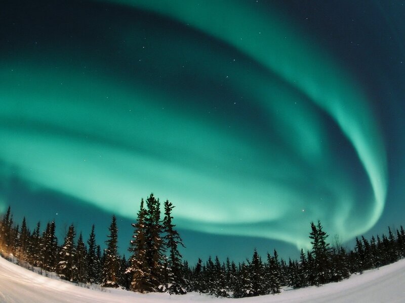 Aurora Borealis over Forest — Green, Serene, Night, Photograph, Trees, Snow, Sky