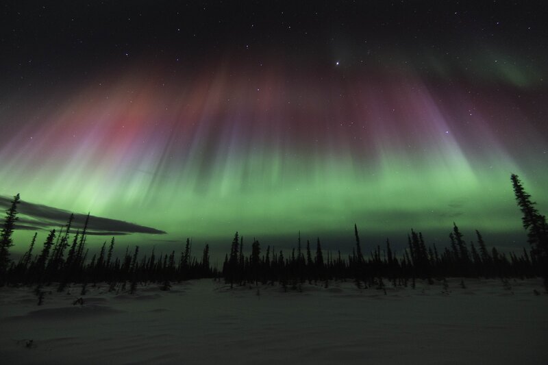Aurora Borealis over Forest — Green, Serene, Night, Photograph, Trees, Snow, Stars