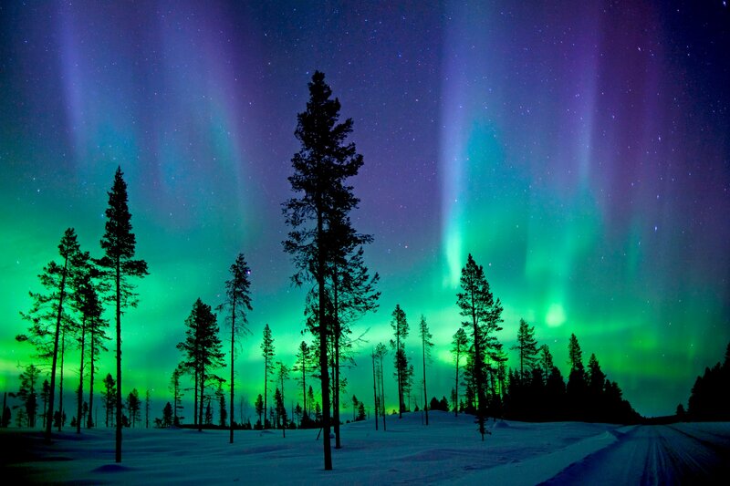 Aurora Borealis over Forest — Green, Serene, Night, Photograph, Trees, Snow