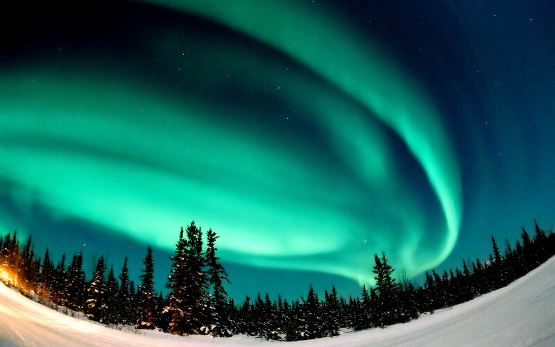 Aurora Borealis over Forest — Green, Serene, Night, Photograph, Trees