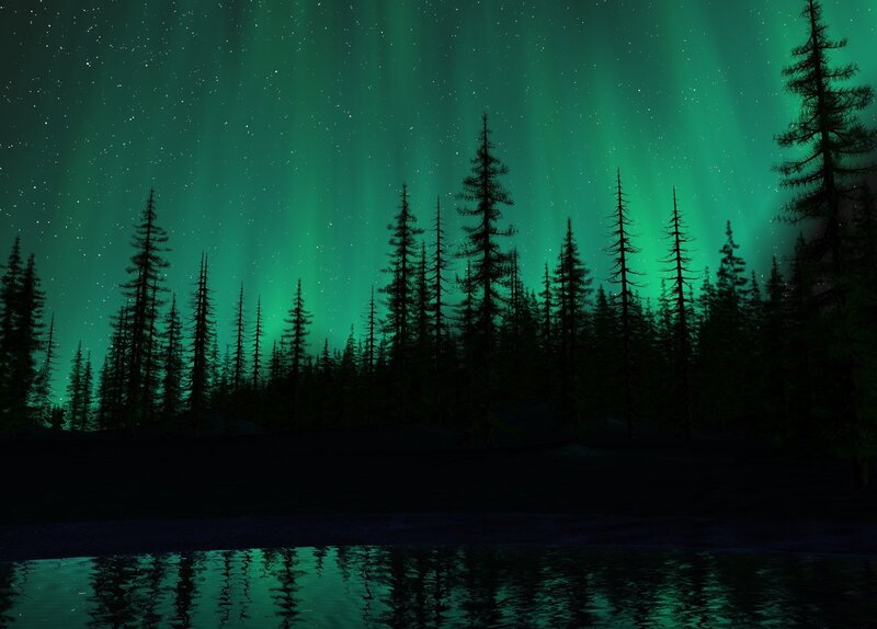 Aurora Borealis over Forest — Green