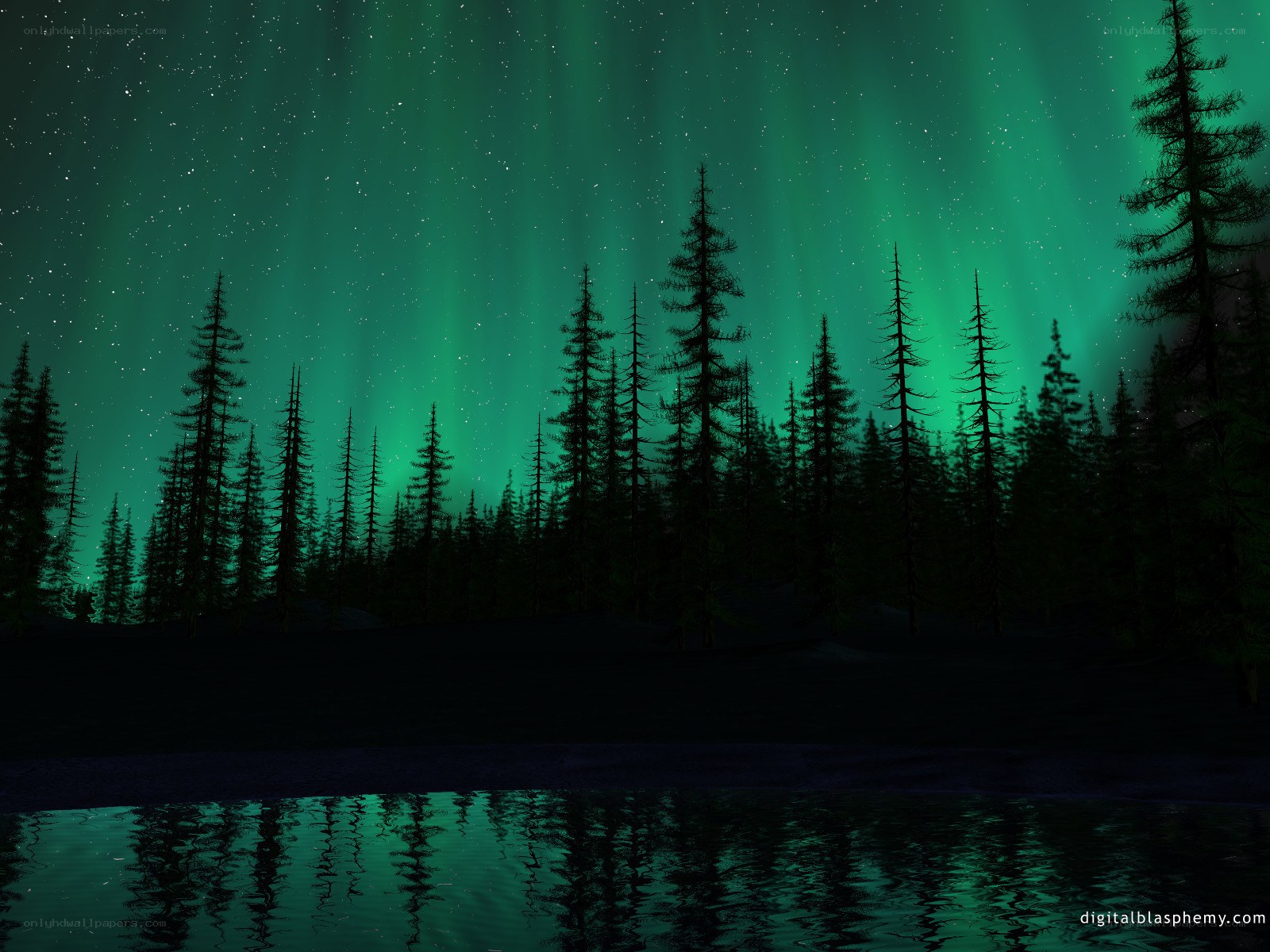 Aurora borealis over forest lake