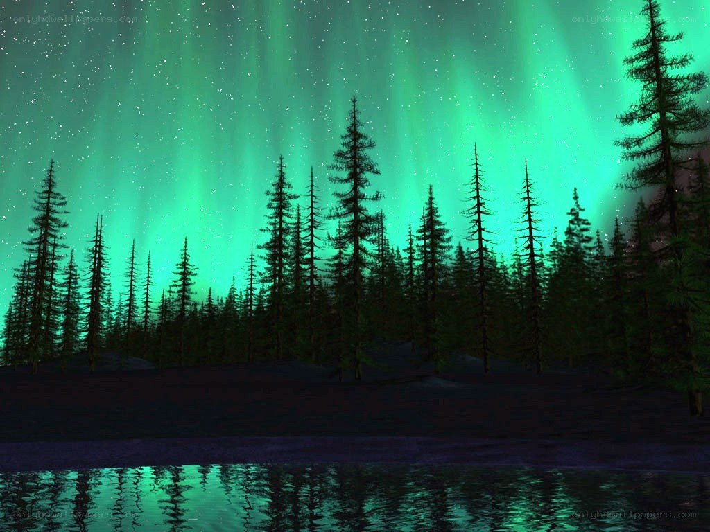 Aurora borealis over forest lake