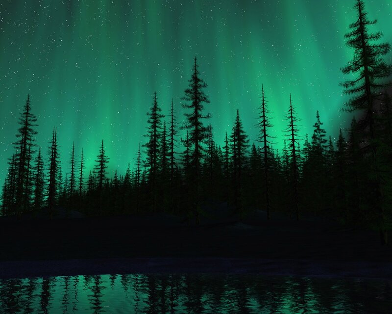 Aurora borealis over forest lake