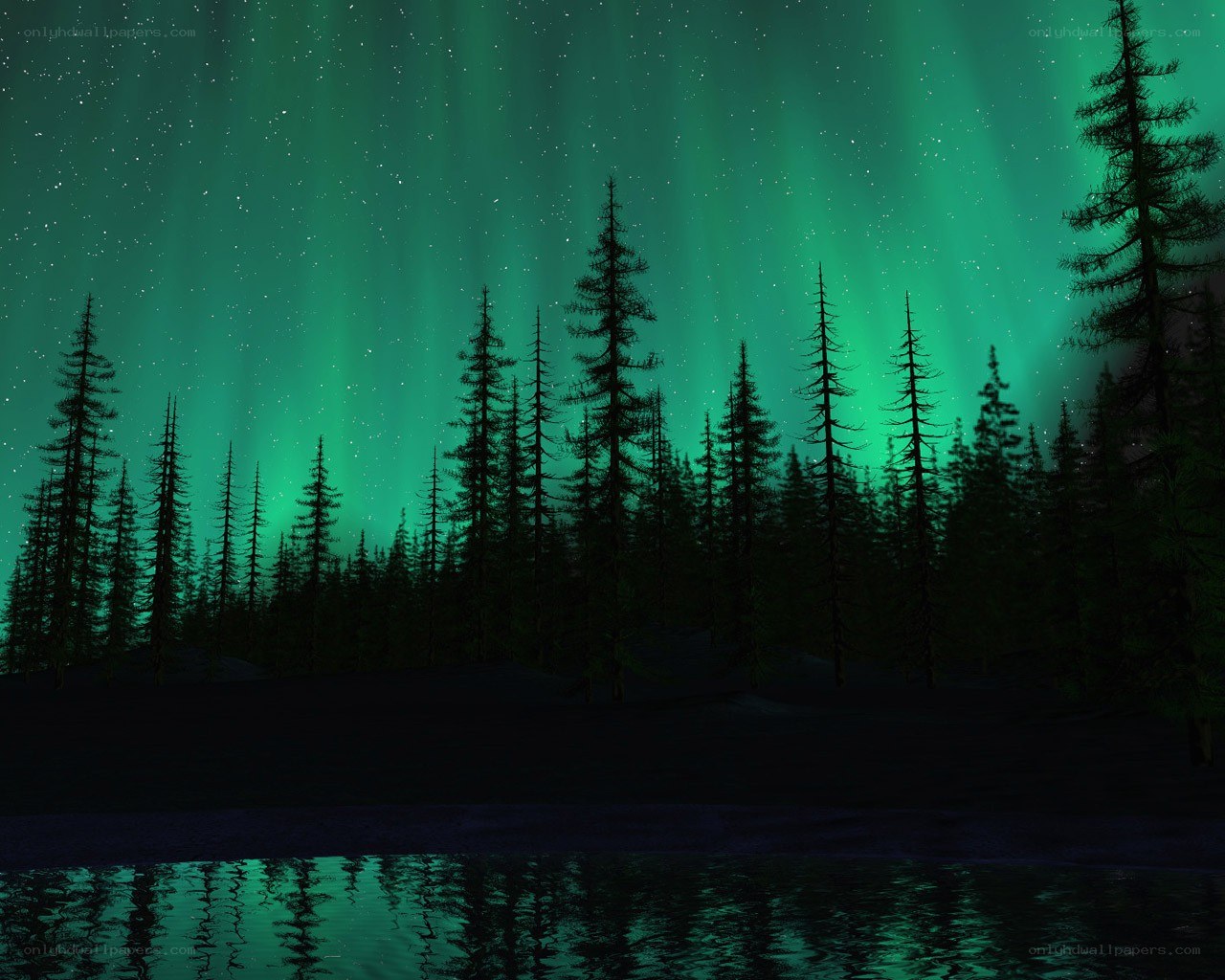 Aurora borealis over forest lake
