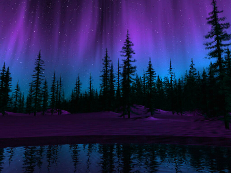 Aurora Borealis over Forest — Purple, Serene, Night