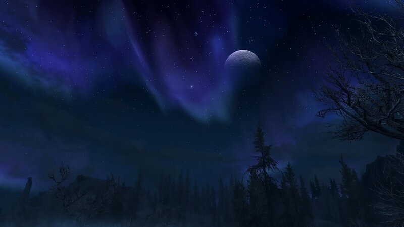 Aurora Borealis over Forest — Purple