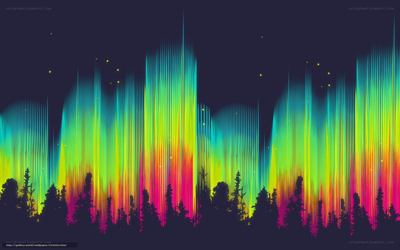 aurora borealis over forest