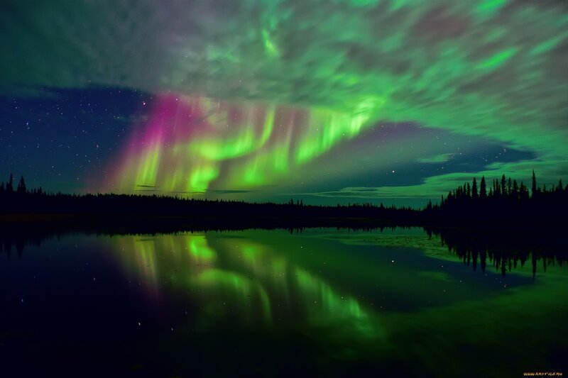 Aurora Borealis over Lake — Green, Dramatic, Night, Photograph, Forest