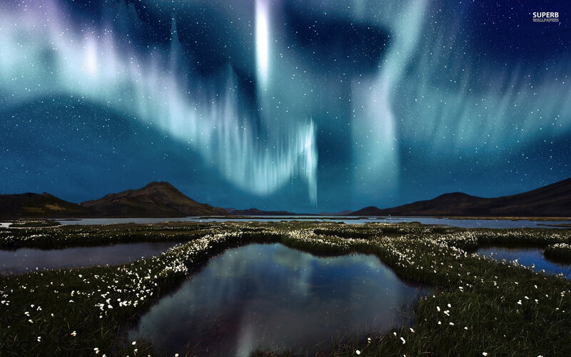 Aurora Borealis over Marsh — Blue, Serene, Night