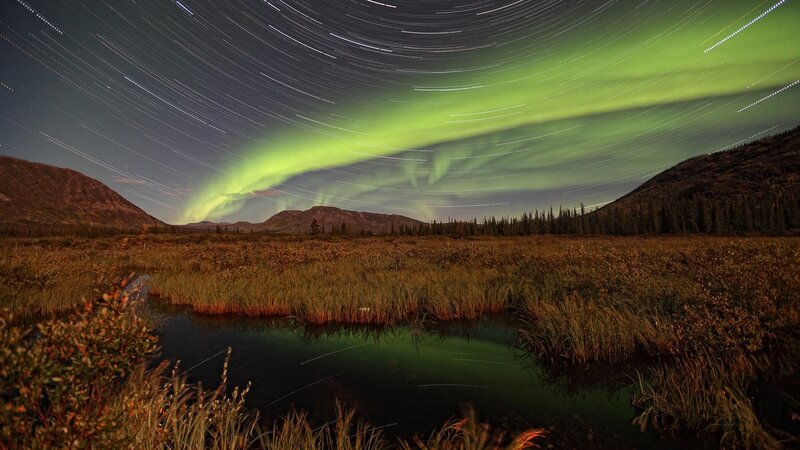 Aurora Borealis over Marsh — Green, Serene, Night