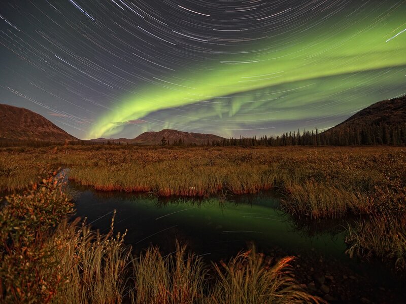 Aurora Borealis over Marsh — Green, Serene