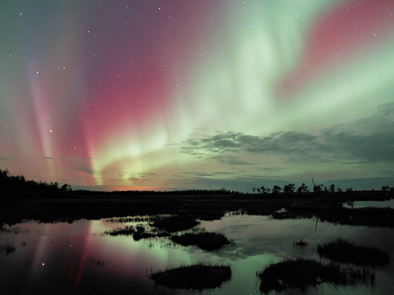 Aurora Borealis over Marsh