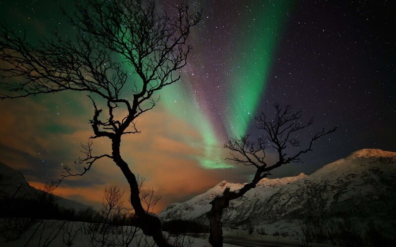 Aurora Borealis over Mountains — Green, Dramatic, Night, Photograph, Trees
