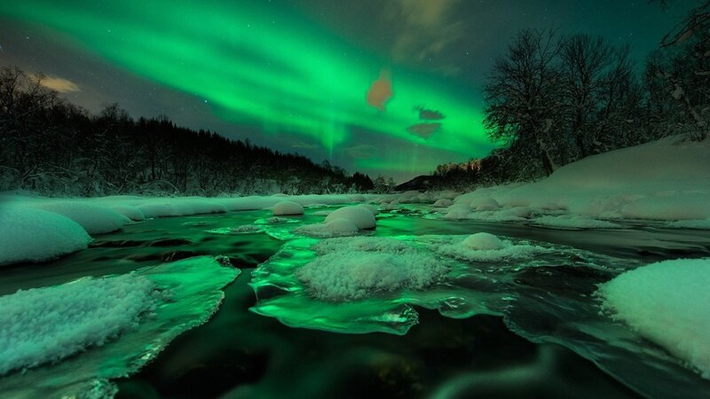 Aurora Borealis over River — Green, Dramatic, Night, Photograph, Snow, Trees, Sky, Black