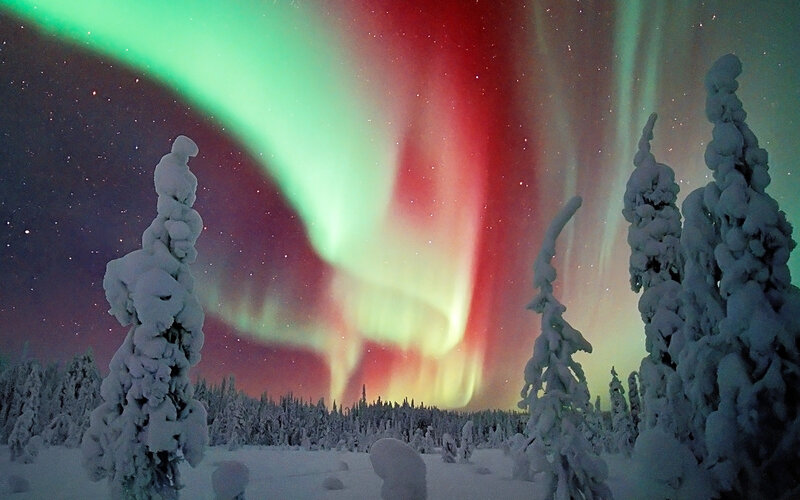 Aurora Borealis over Snow — Green, Dramatic, Night, Photograph, Snow-covered Trees