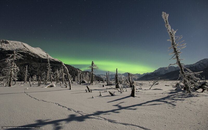 Aurora Borealis over Snow — Green, Serene, Night, Photograph, Mountains, Trees