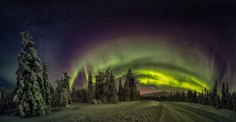Aurora Borealis over Snow — Green, Serene, Night, Photograph, Snow-covered Trees