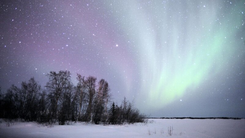 Aurora Borealis over Snow — Green, Serene, Night, Photograph, Stars, Trees, Purple