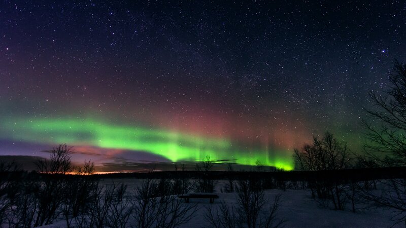 Aurora Borealis over Snow — Green, Serene, Night, Photograph, Stars, Trees