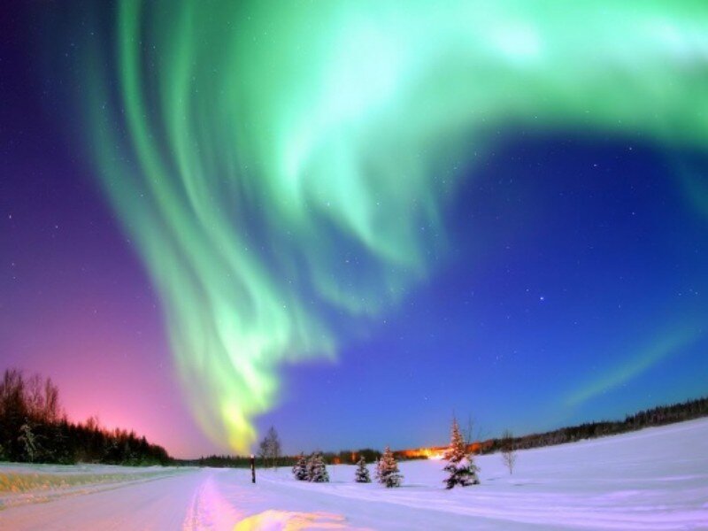 Aurora Borealis over Snow — Green, Serene, Night, Photograph, Trees, Night Sky, Blue