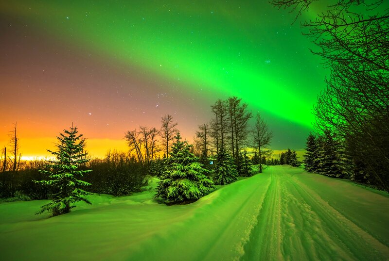 Aurora Borealis over Snow — Green, Serene, Night, Photograph, Trees, Night Sky
