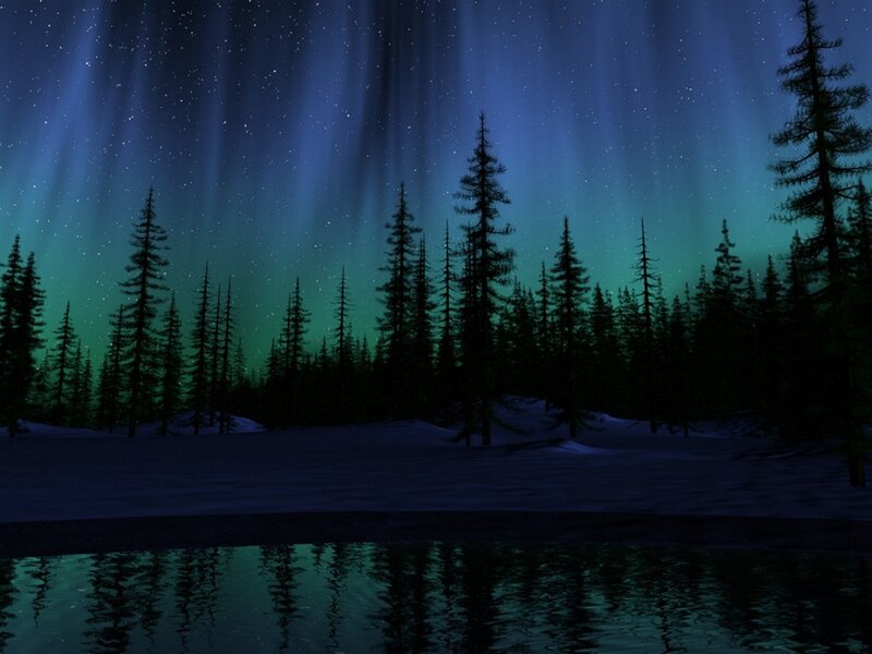 Aurora borealis over snowy forest