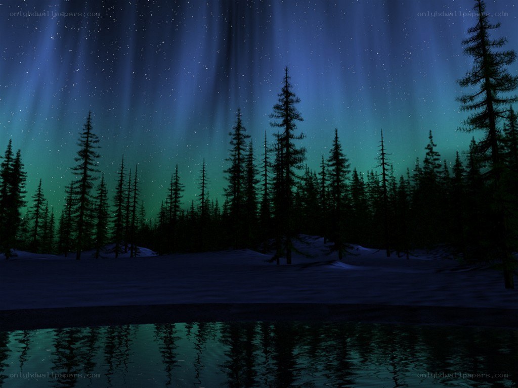 Aurora borealis over snowy forest