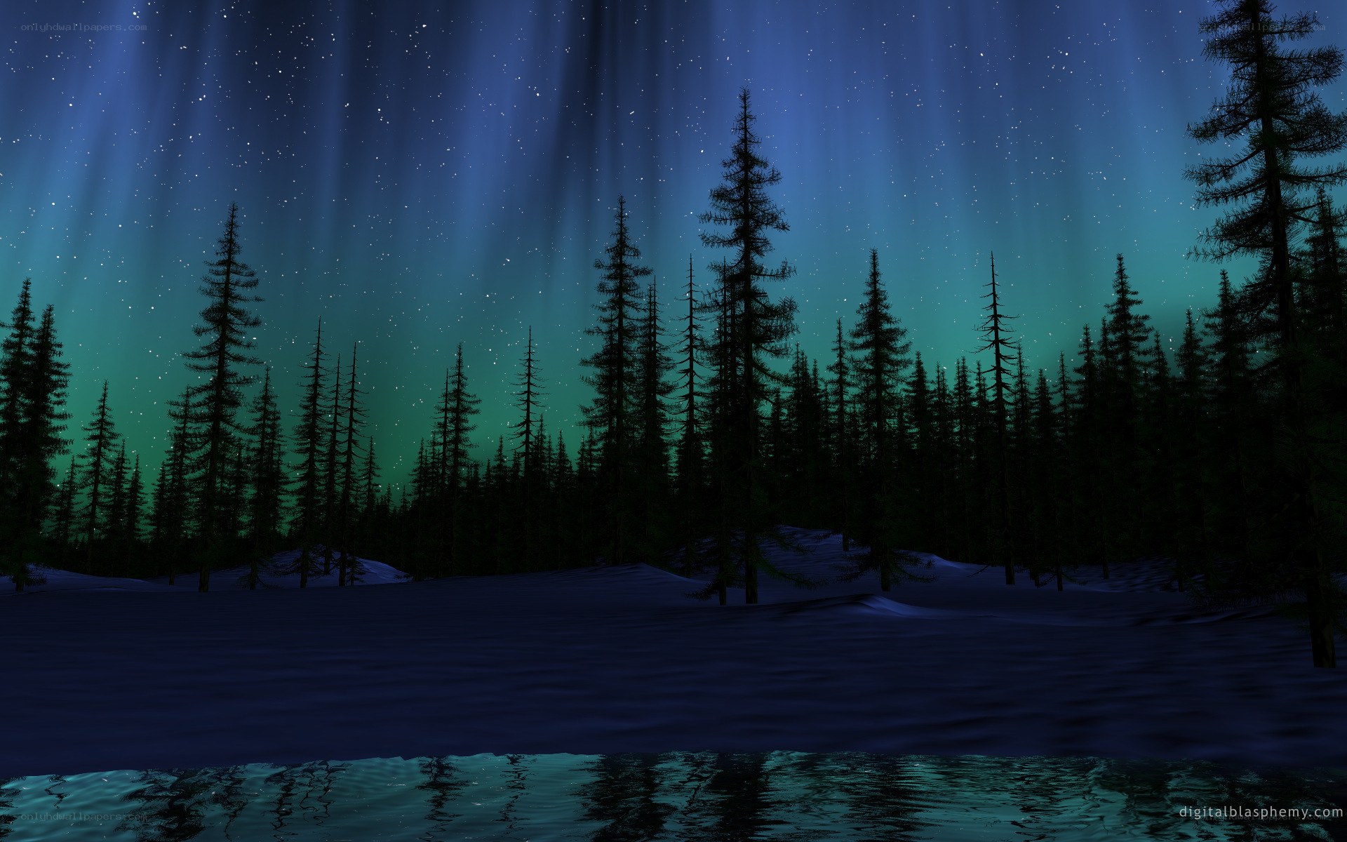 Aurora borealis over snowy forest