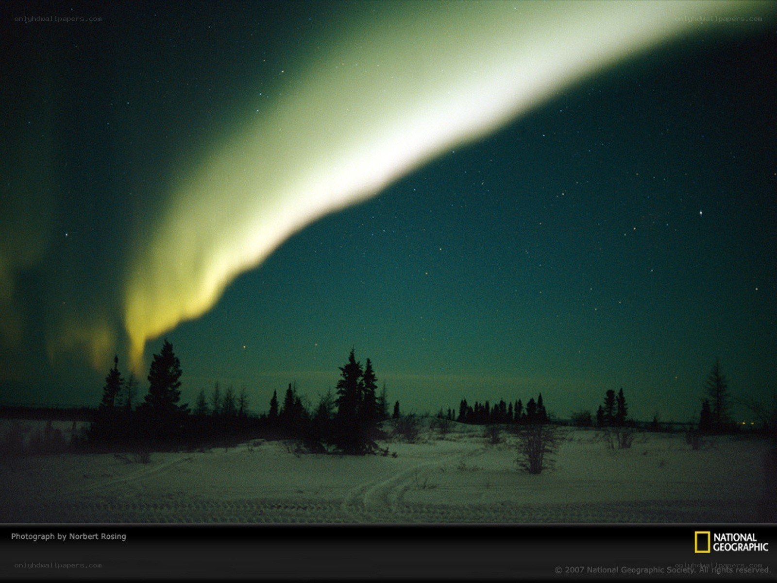Aurora borealis over snowy landscape