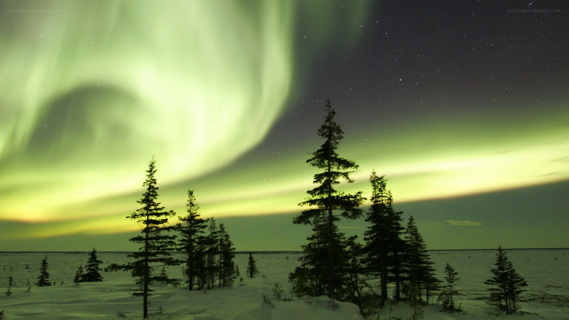 Aurora borealis over snowy landscape