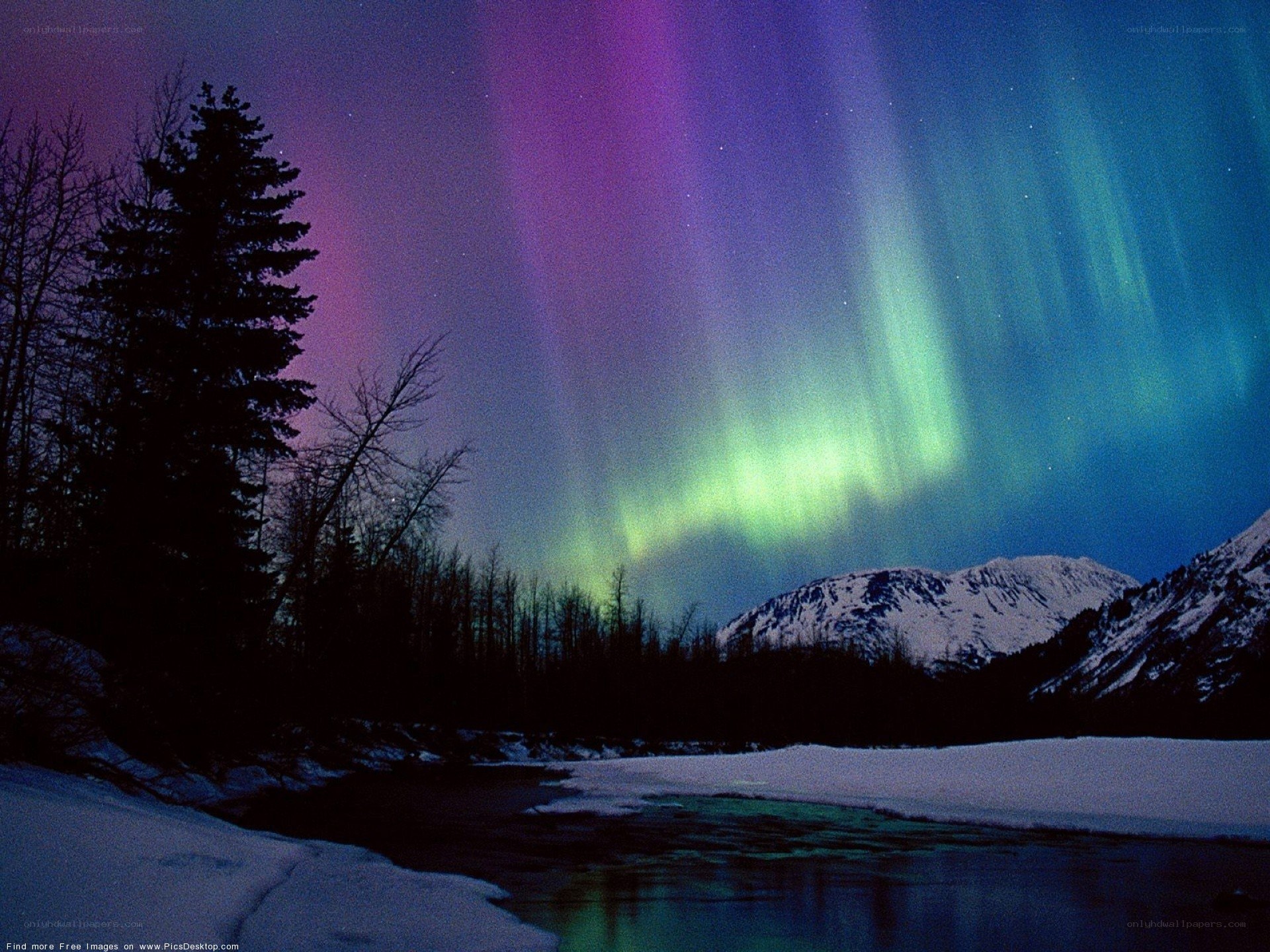 Aurora borealis over snowy landscape