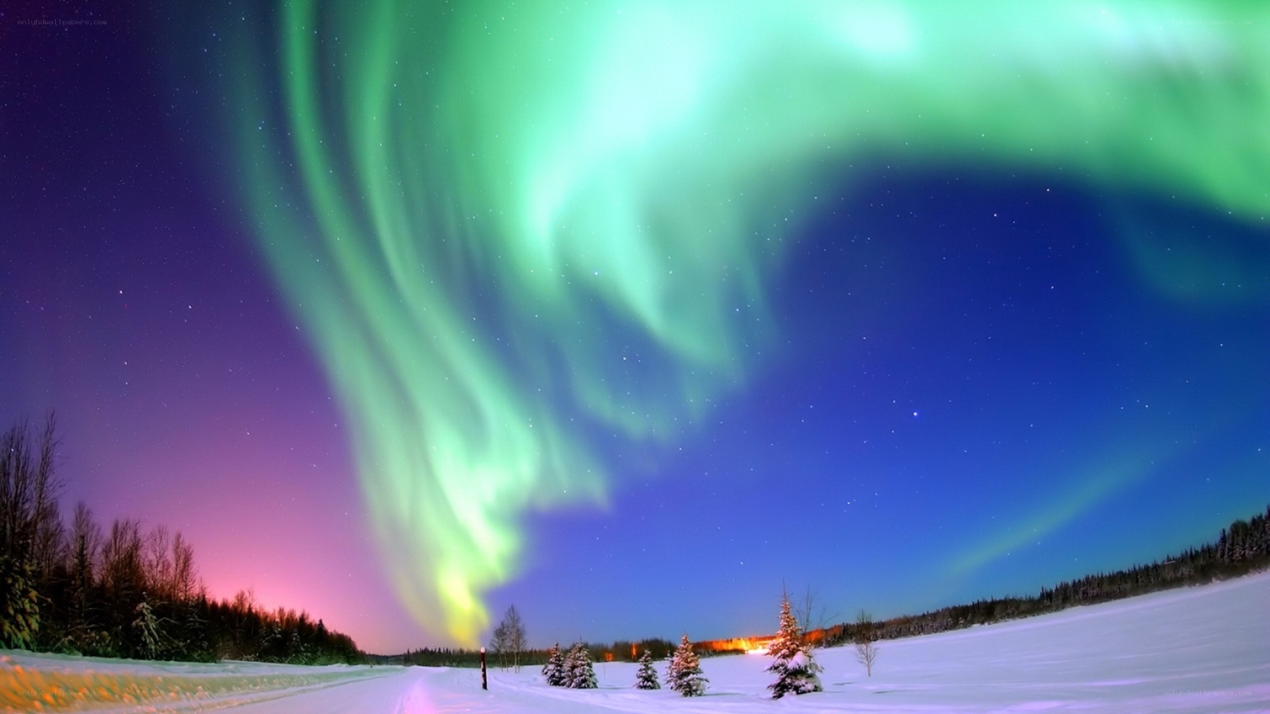 Aurora borealis over snowy landscape