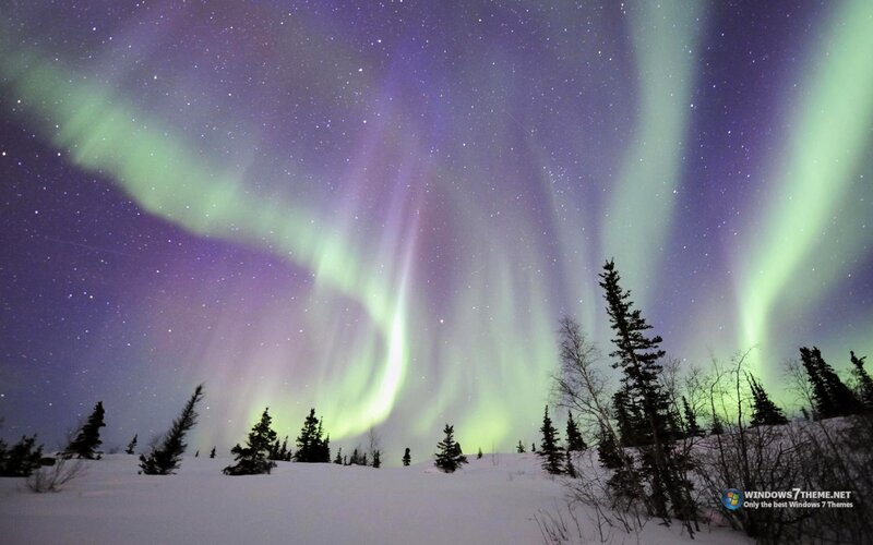 Aurora borealis over snowy landscape