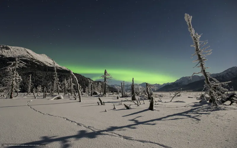 Aurora borealis over snowy landscape