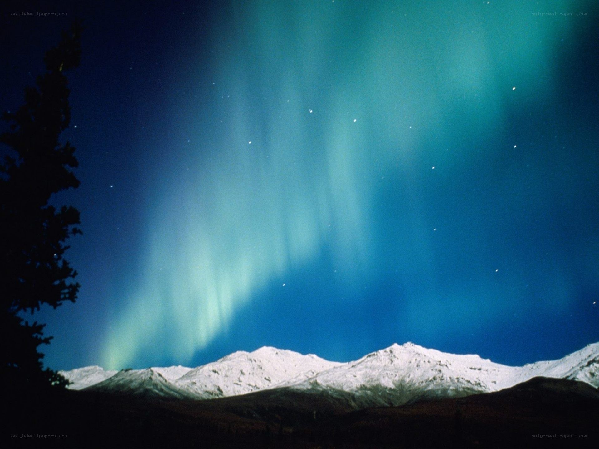 Aurora borealis over snowy mountains
