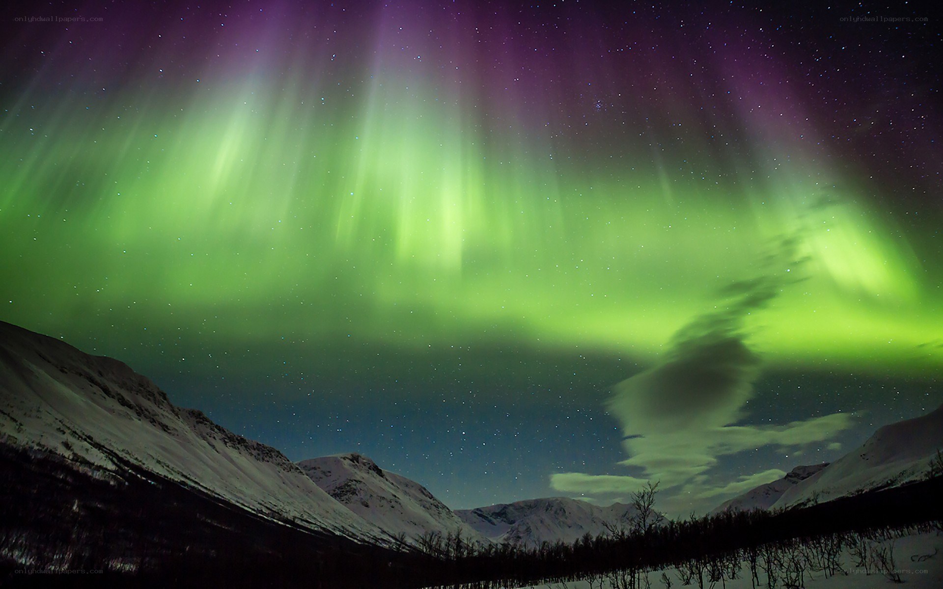 Aurora borealis over snowy mountains