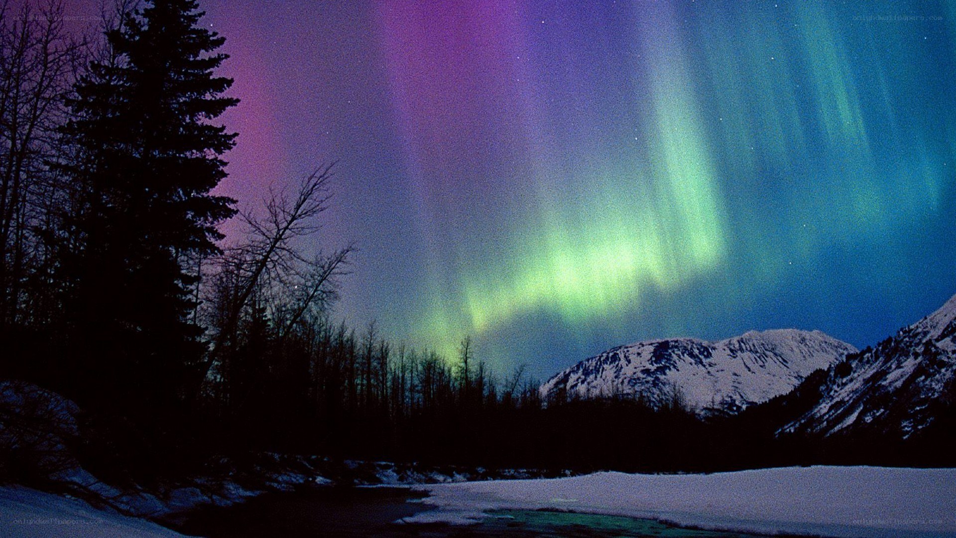 Aurora borealis over snowy mountains