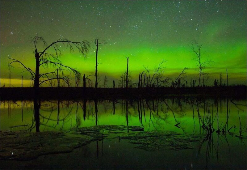 Aurora Borealis over Swamp