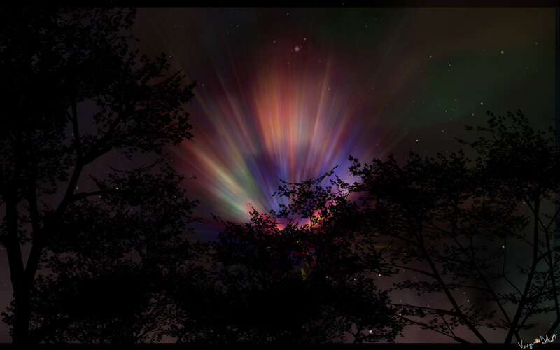 Aurora borealis over trees