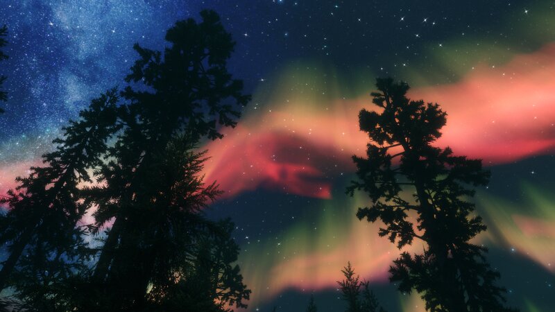 Aurora Borealis over Trees — Blue, Serene