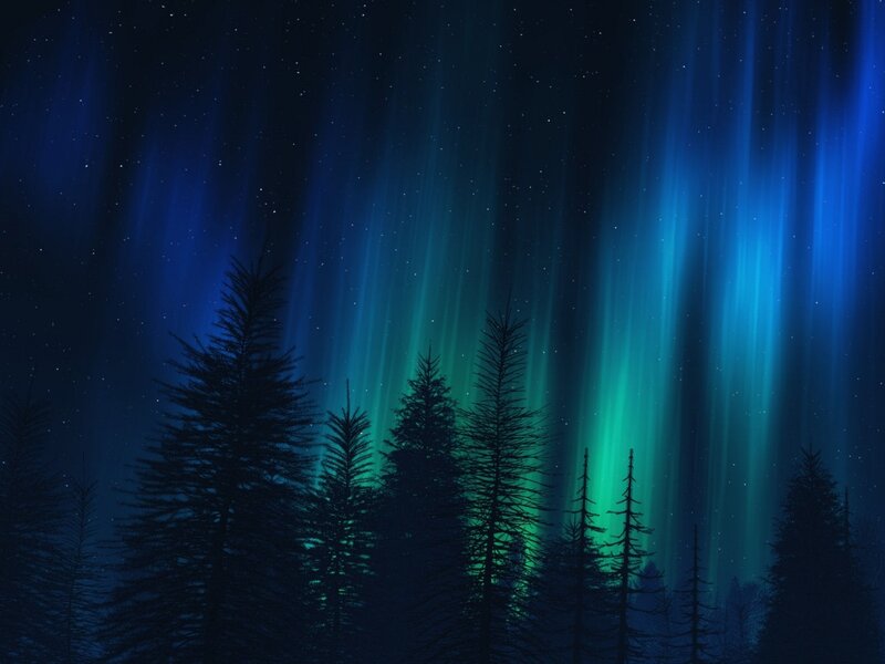 Aurora Borealis over Trees — Blue