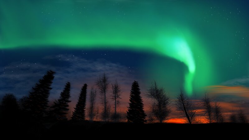 Aurora Borealis over Trees — Green, Dramatic, Night, Digital Art